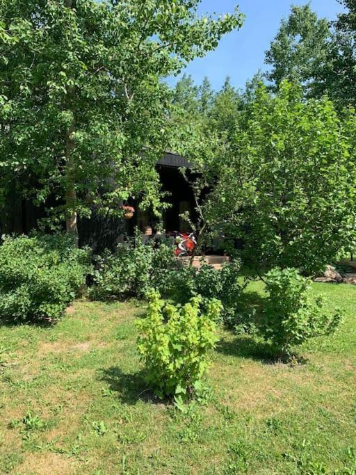 Small Cozy 3-Room House With Terrace & Large Garden Ilmandu Dış mekan fotoğraf